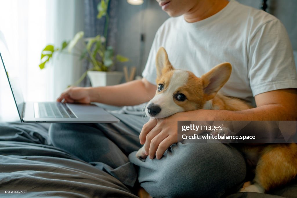 Young Asian man stay at home with his dog during pandemic isolation.