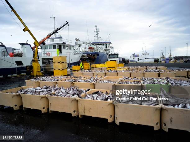 fishing boat and fish box at harbor of skagaströnd - fishing boat stock pictures, royalty-free photos & images
