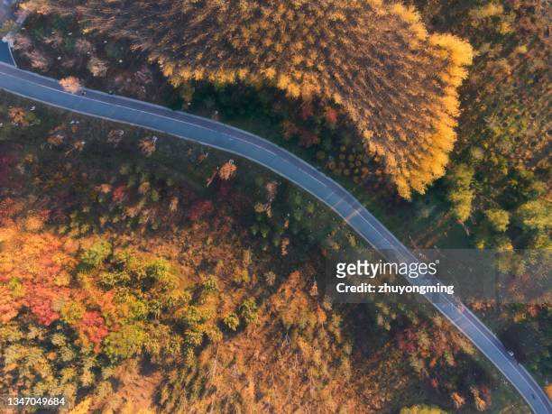 beautiful autumn scenery,high angle view - jilin stockfoto's en -beelden
