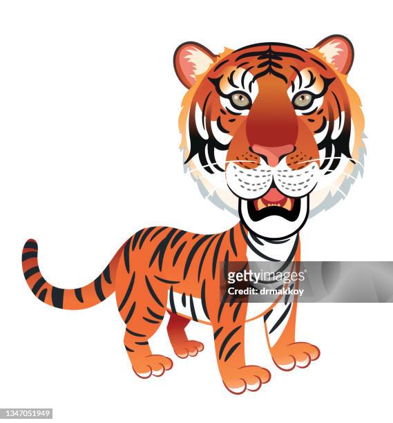 tiger - year of the tiger stock illustrations