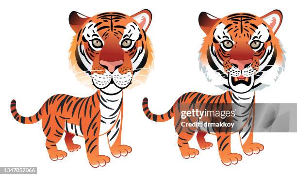 illustrazioni stock, clip art, cartoni animati e icone di tendenza di tigre - anno della tigre