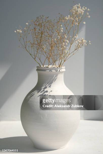 dried flowers or dried flowers in a white antique ceramic vase on the window. sunlight and and the rays of the sun fall from the window. minimalism in the interior. classic stylish fashionable vase, on a white wall background. copy space. - antique shop stock-fotos und bilder