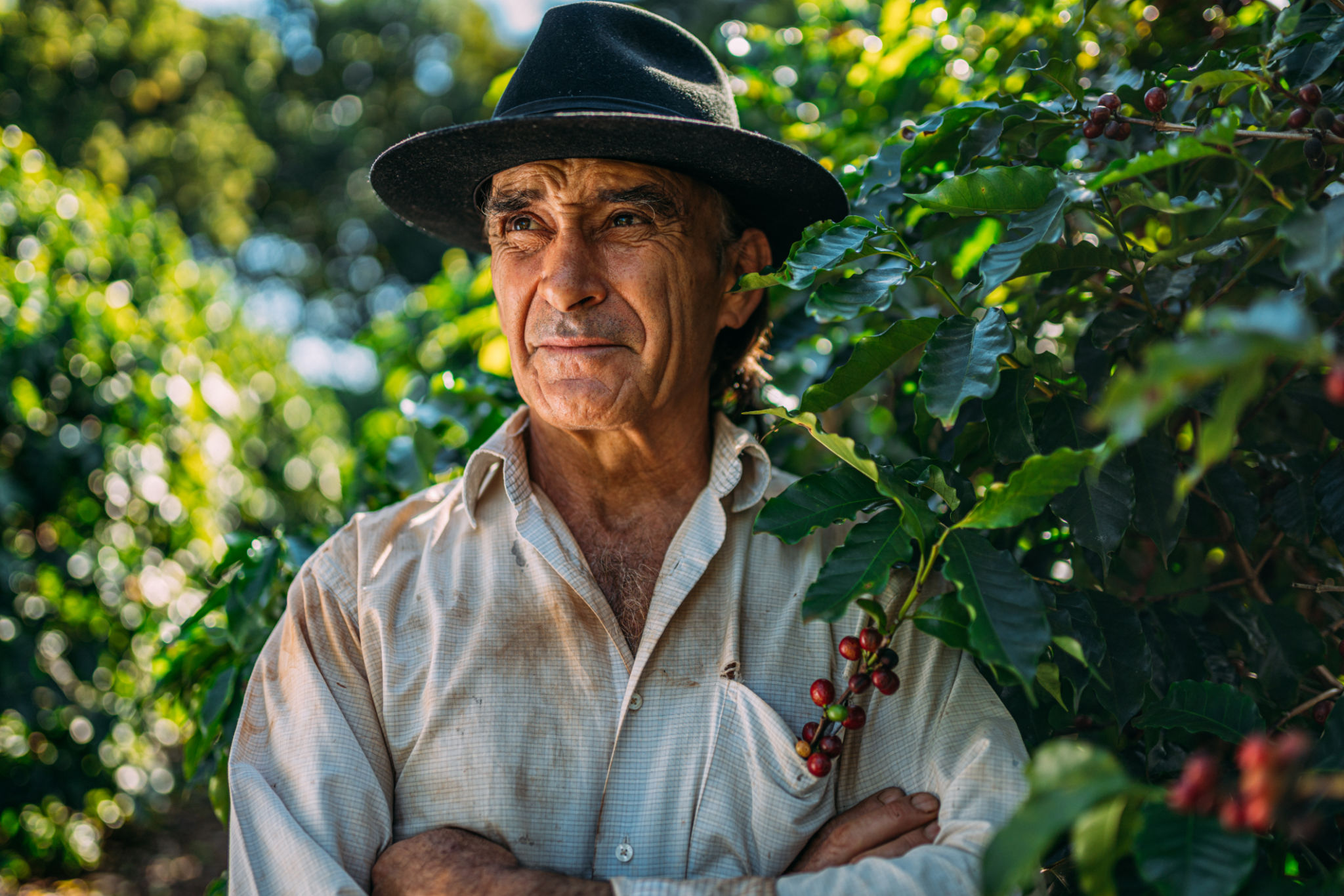 local coffee farmer