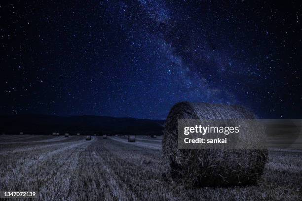 milky way over the rolled haystacks at the field - bale stock pictures, royalty-free photos & images