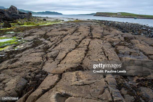 ann corran rocky beach at staffin on the isle of skye - staffin stock pictures, royalty-free photos & images