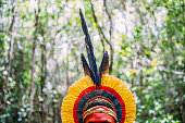 Indian from the Pataxó tribe with feather headdress looking to the right.