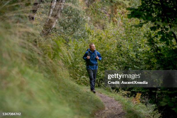 young man follows hiking trail through lush forest - forest walking front stock pictures, royalty-free photos & images