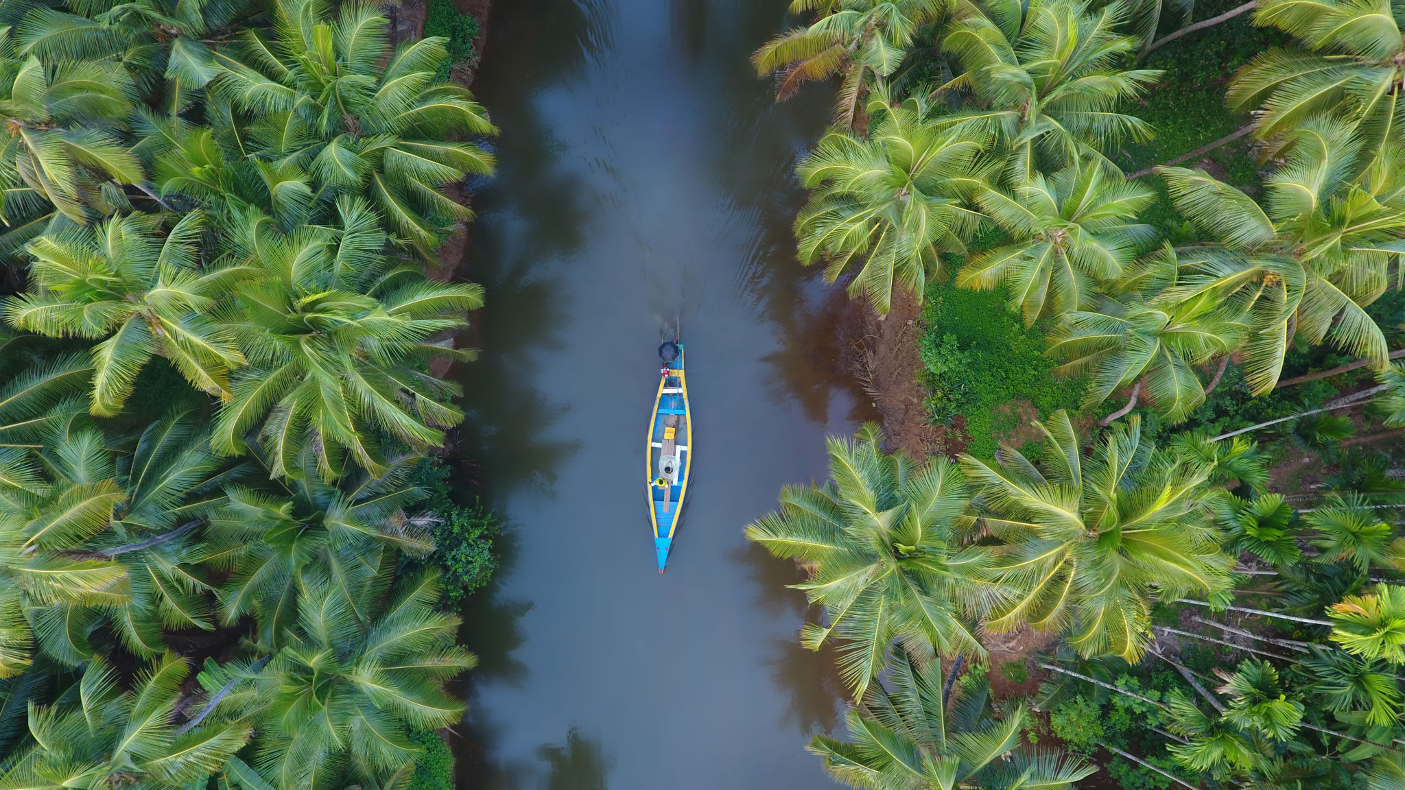 aerial view photography