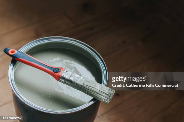 a small paintbrush sits on top of a large tin of light green / grey paint - farbeimer stock-fotos und bilder