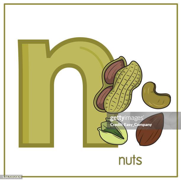 Nut Letters Pecans Illustration Photos and Premium High Res Pictures - Getty Images