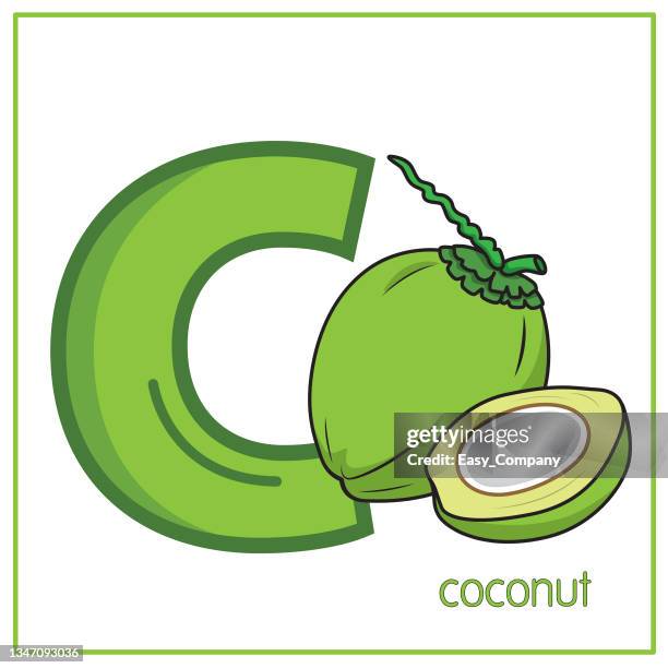 vector illustration of coconut with alphabet letter c lower case for children learning practice abc - reading book summer stock illustrations