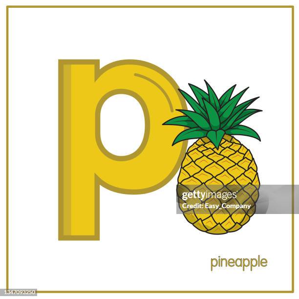 vector illustration of pineapple with alphabet letter p lower case for children learning practice abc - pineapple juice stock illustrations