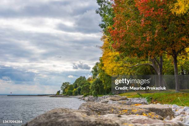 lakeside park in autumn time - lakeshore park stock pictures, royalty-free photos & images