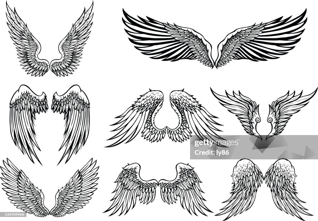 Wings