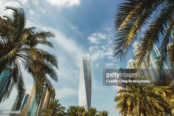 view of dubai marina skyscrapers with palms on foreground - emirates towers stock pictures, royalty-free photos & images