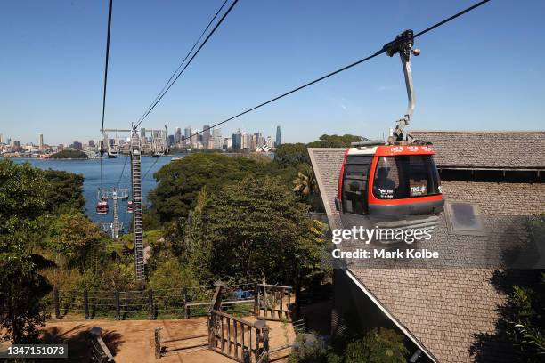 The view from the Sky Safari is seen over the harbour at Taronga Zoo on October 18, 2021 in Sydney, Australia. Taronga Zoo has reopened to patrons...