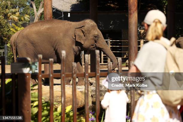 Mother and young child watch the elephants at Taronga Zoo on October 18, 2021 in Sydney, Australia. Taronga Zoo has reopened to patrons who are fully...