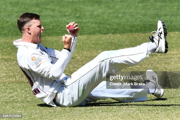 Matt Kuhnemann of the Queensland Bulls celebrates after catching the wicket of Jake Carder of the Redbacks off his bowling during day four of the...
