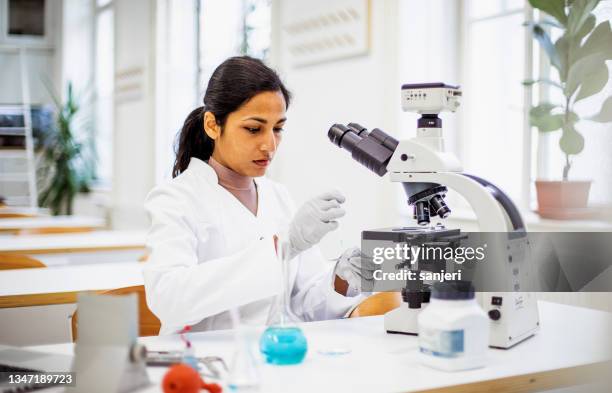 scientist working in the laboratory - connective tissue stock pictures, royalty-free photos & images