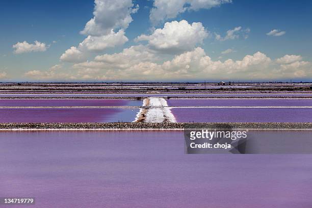 étangs sel dans le sud de la provence - camargue photos et images de collection