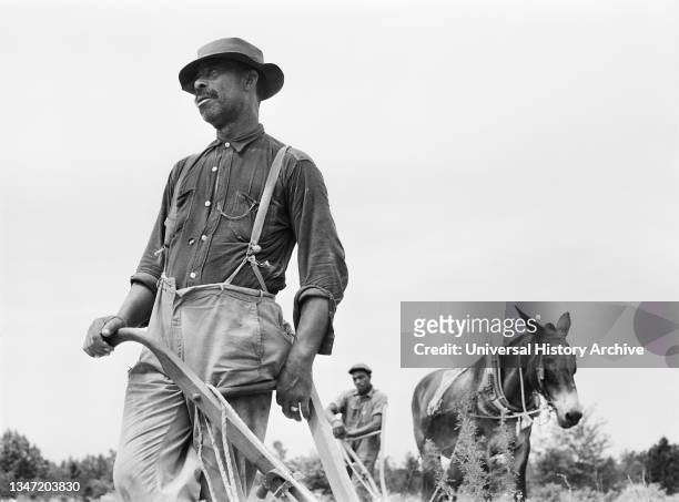 Mr. Jim Brown, Landowner, Greene County, Georgia, Jack Delano, U.S. Farm Security Administration, June 1941.