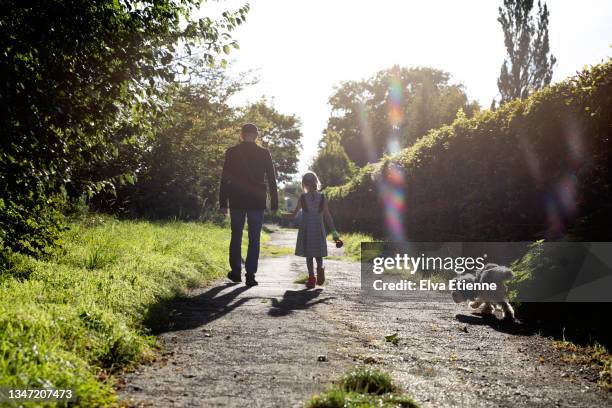 rear view of father and child on a sunny day in late afternoon in summertime, walking along a rural footpath with a pet dog on a leash that has stopped to mark a patch of nettles. - kids peeing - fotografias e filmes do acervo