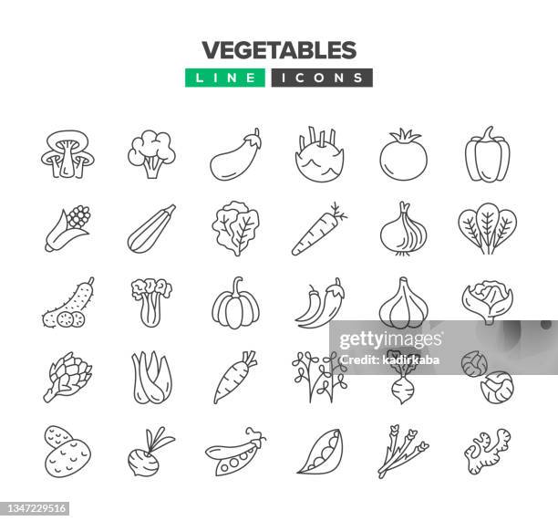 ilustrações, clipart, desenhos animados e ícones de conjunto de ícones da linha de legumes - lettuce