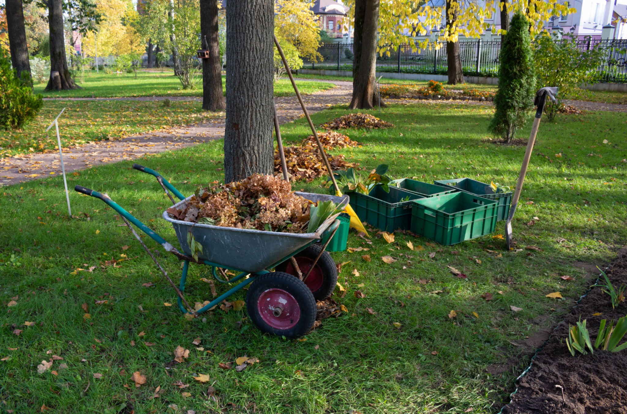 garden seasonal care