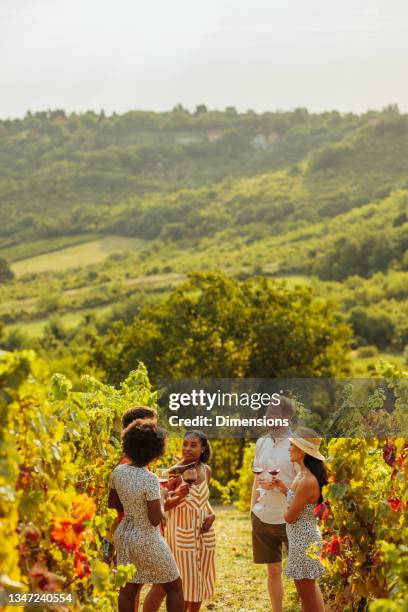 les gens avec des verres de vin dans le vignoble - dégustation photos et images de collection