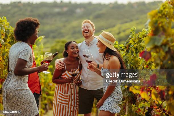 wine tasting in a italian winery after grape harvesting - winery people stock pictures, royalty-free photos & images