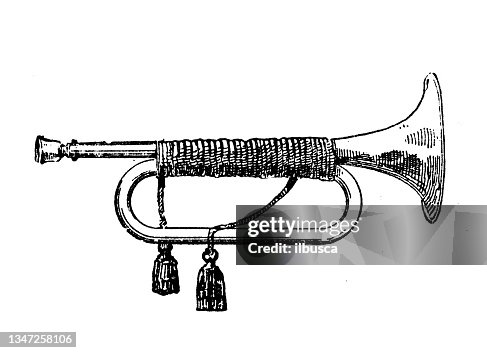 250+ Military Bugle Stock Photos, Pictures & Royalty-Free Images - iStock