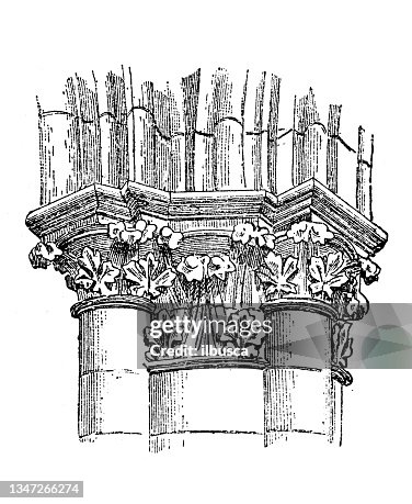 Antique illustration: Column, Amiens Cathedral Antique illustration: Column, Amiens Cathedral