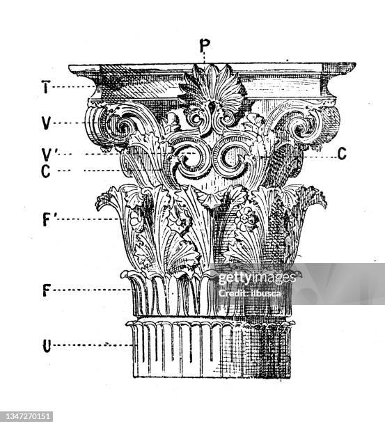 antique illustration: corinthian column capital - corinthian stock illustrations