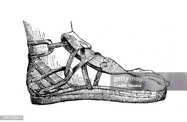 antique illustration: buskin - sandale stock illustrations