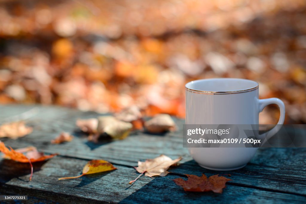 Close-up of coffee cup with autumn leaves on table