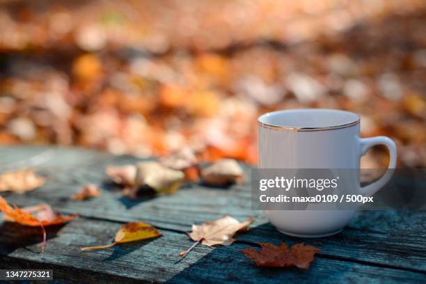 close-up of coffee cup with autumn leaves on table - september imagens e fotografias de stock