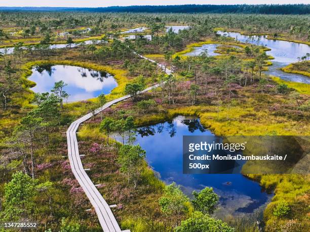 high angle view of trees by lake against sky,latvija,latvia - latvia photos et images de collection