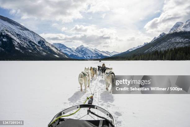 scenic view of snowcapped mountains against sky,spray lakes reservoir,alberta,canada - sleigh dog snow stock pictures, royalty-free photos & images