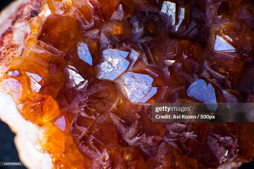 Close-up of frozen leaves