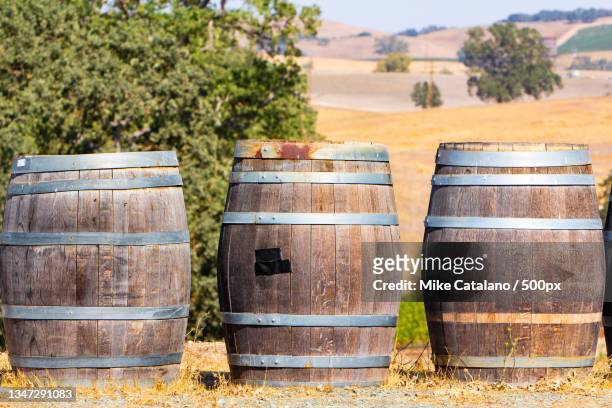 close-up of containers on field,paso robles,california,united states,usa - paso robles stockfoto's en -beelden