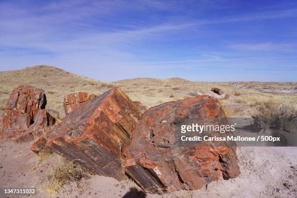 scenic view of desert against sky,petrified forest national park,arizona,united states,usa - petrified wood stock-fotos und bilder