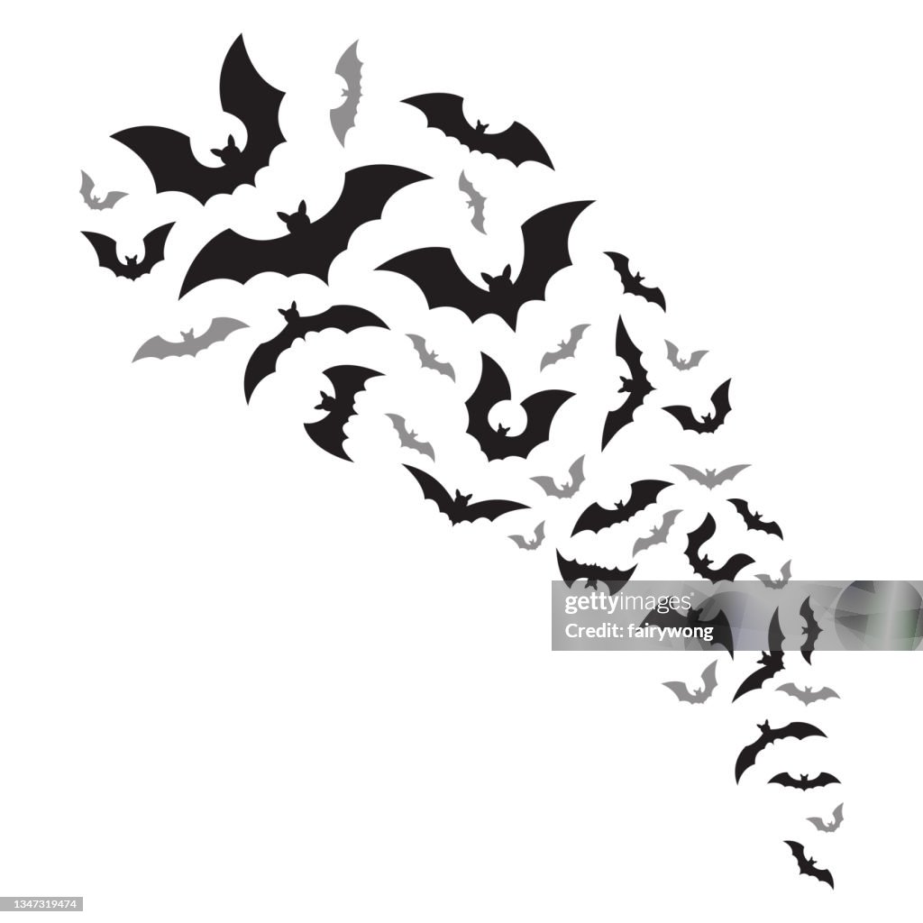 Flying bats flock