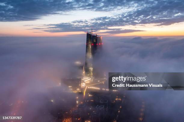 european central bank in the fog at blue hour - europese centrale bank stockfoto's en -beelden