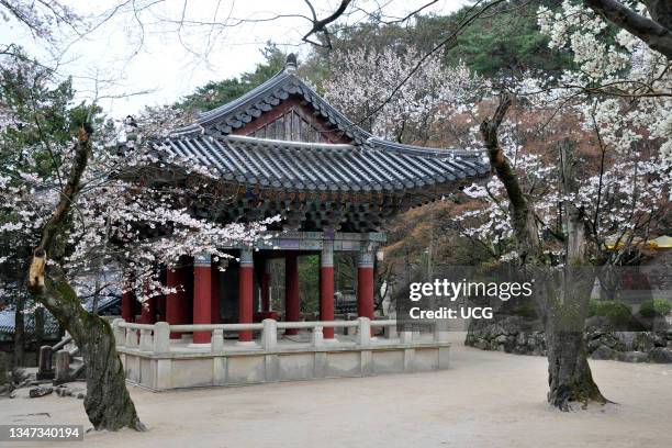 South Korea. Gyeongju. Tumuli park and Bulguksa temple.