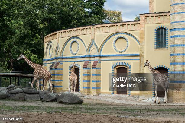 Germany. Berlin. Zoo.