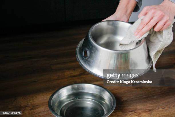 dog food bowls - tweede kamer stockfoto's en -beelden