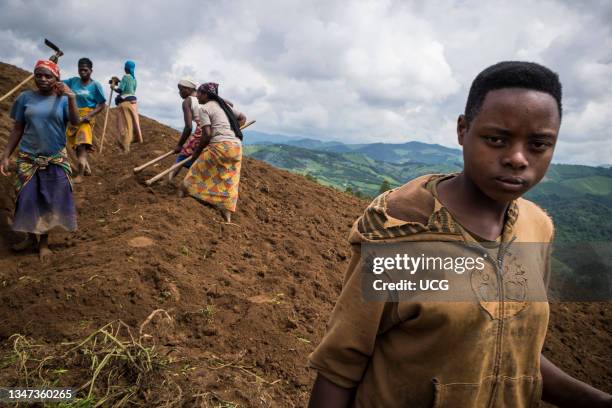 Natural Resources Of Rwanda Photos and Premium High Res Pictures ...