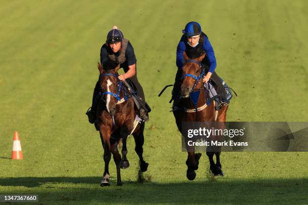 Matt Vella on Law Of Indices and Brodie Loy on Reve De Vol during a trackwork session at Canterbury Racecourse on October 19, 2021 in Sydney,...