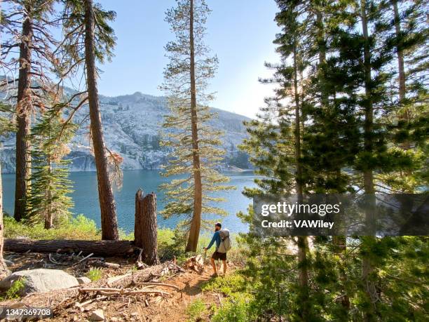 beautiful backpacking trip in lake tahoe, california - national bravery stock pictures, royalty-free photos & images