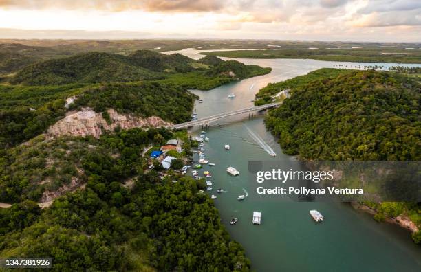 atlantic forest river in brazil - mata atlantica stock pictures, royalty-free photos & images